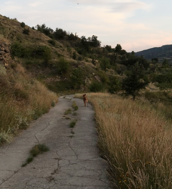 caminos y paisajes