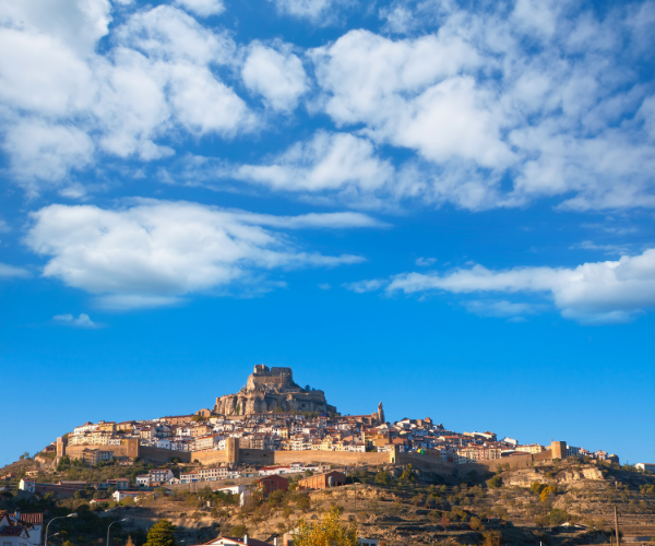 morella